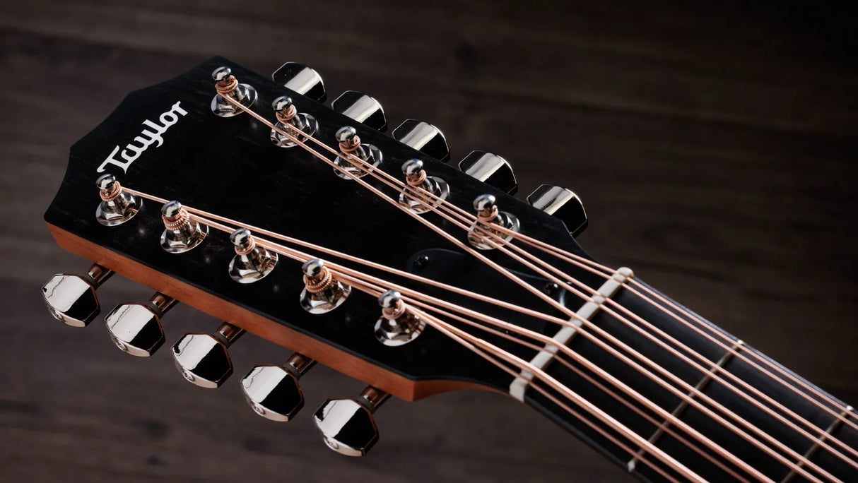 Taylor 150ce Bajo Quinto