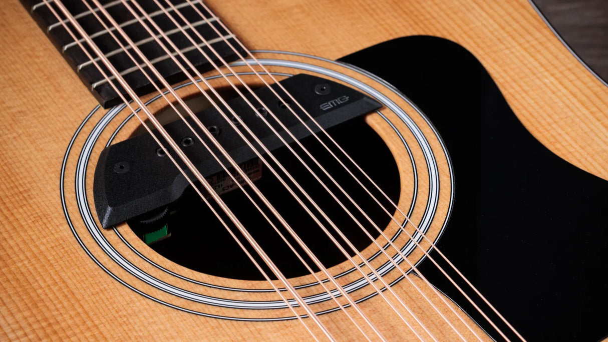 Taylor 150ce Bajo Quinto