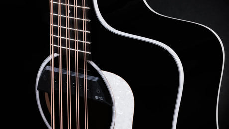 Taylor 250ce Plus BLK Bajo Quinto