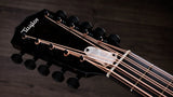 Taylor 250ce Plus BLK Bajo Quinto