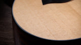 Taylor 314CE Next Generation Natural with Case