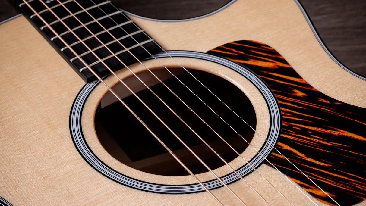 Taylor 314CE Next Generation Natural with Case