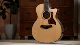 Taylor 314CE Next Generation Natural with Case