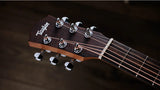 Taylor Baby BT Koa Acoustic Guitar - Natural