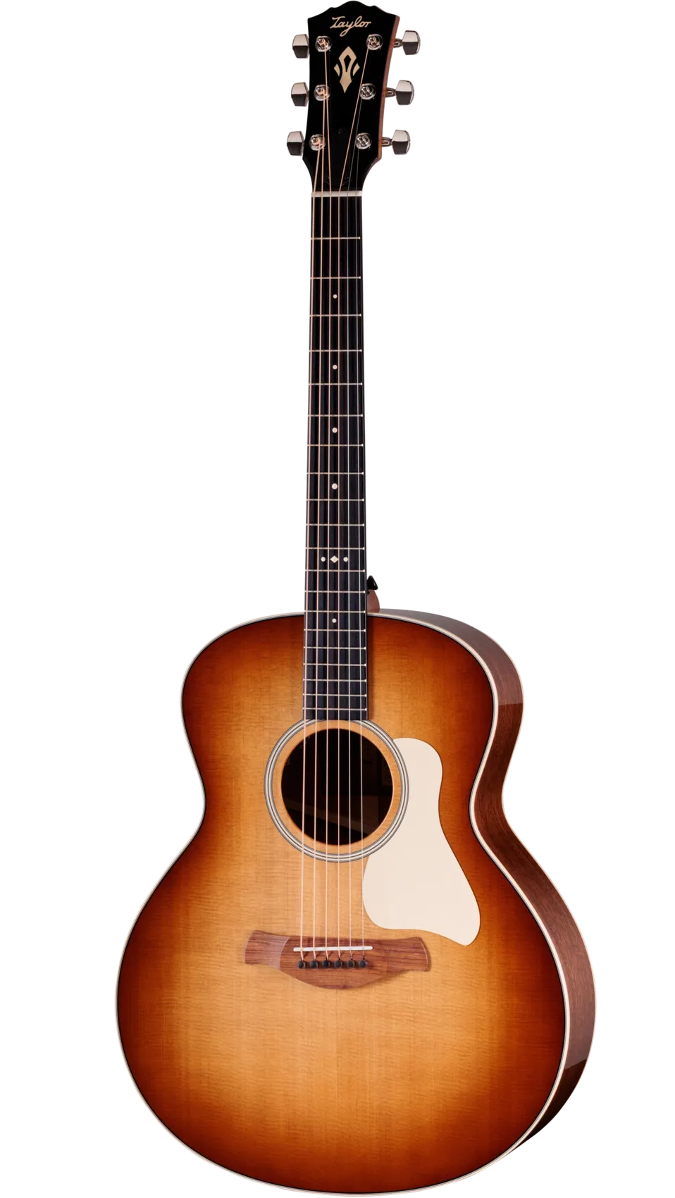 Taylor Gold Label 514e Sunburst (cream pickguard) w/ case