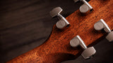 Taylor Gold Label 514e Sunburst (cream pickguard) w/ case