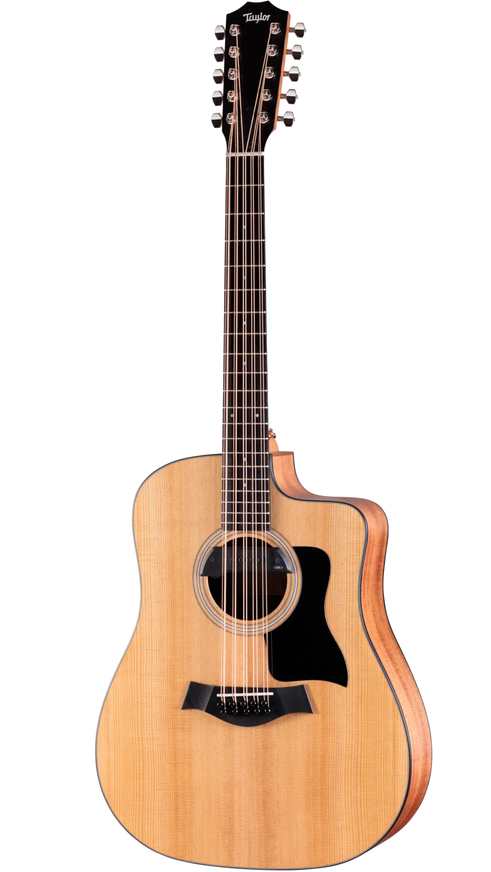 Taylor 150ce Bajo Quinto