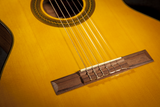 Takamine CG1 NAT Nylon String Acoustic Guitar - Natural
