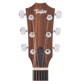 Taylor Academy 22e Walnut Top Natural w/ bag