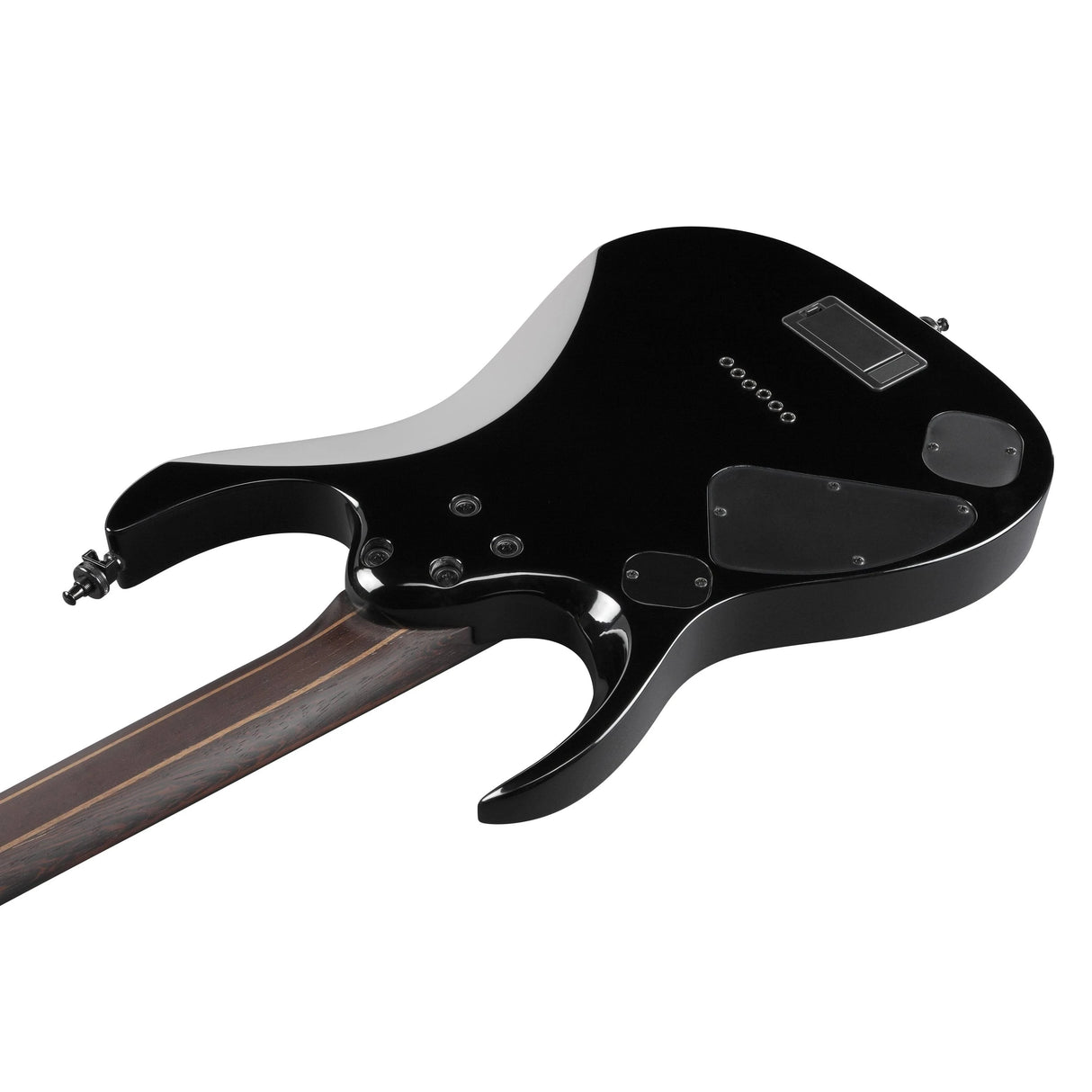 Ibanez RGD61ALA Axion Label Electric Guitar - Midnight Tropical Rainforest