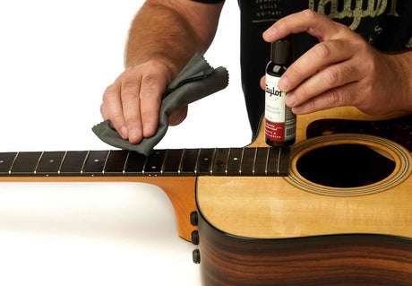 Taylor Satin Guitar Cleaner, 4 oz.