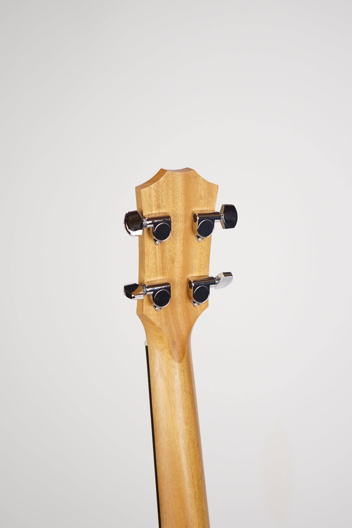 Taylor GS Mini-e Bass Natural w/ bag