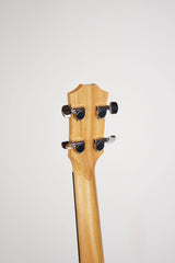 Taylor GS Mini-e Bass Natural w/ bag
