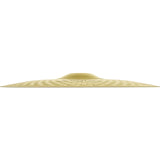 Zildjian Planet Z Ride 20"