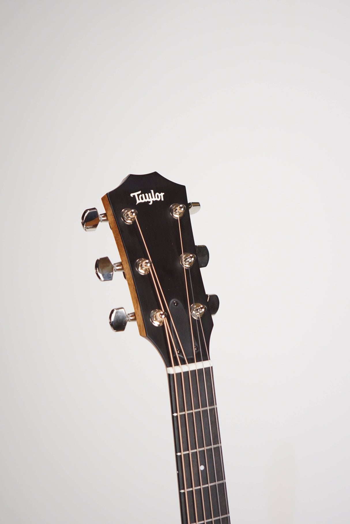 Taylor 314ce Studio Acoustic Electric Natural
